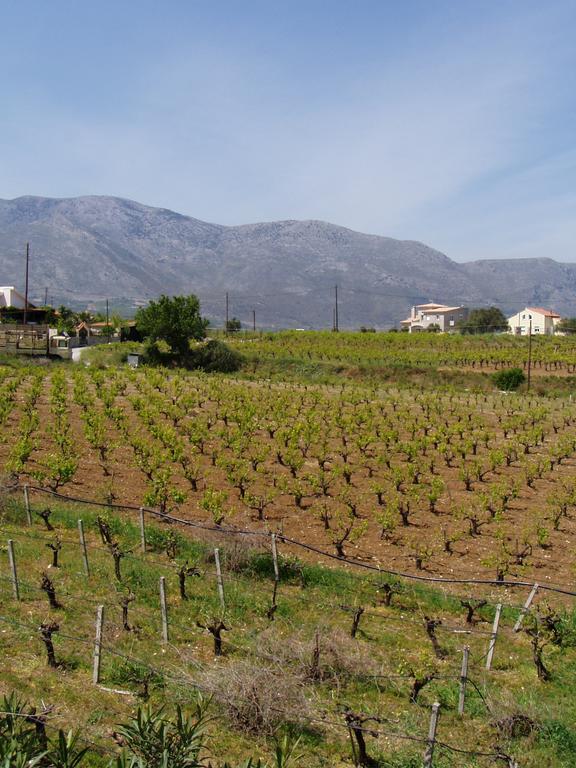Christina Villas- Minoan Inland Pentamodi Bagian luar foto